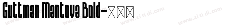 Guttman Mantova Bold字体转换